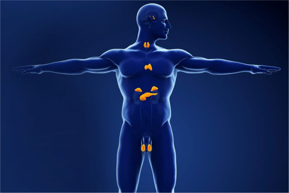 Best hospitals for endocrinology In Hyderabad